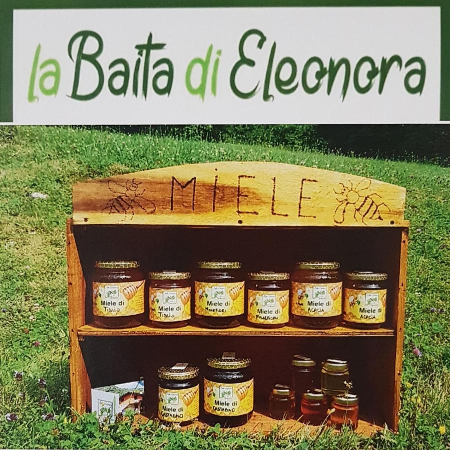 Baita Eleonora 阿尔杰尼奥 外观 照片